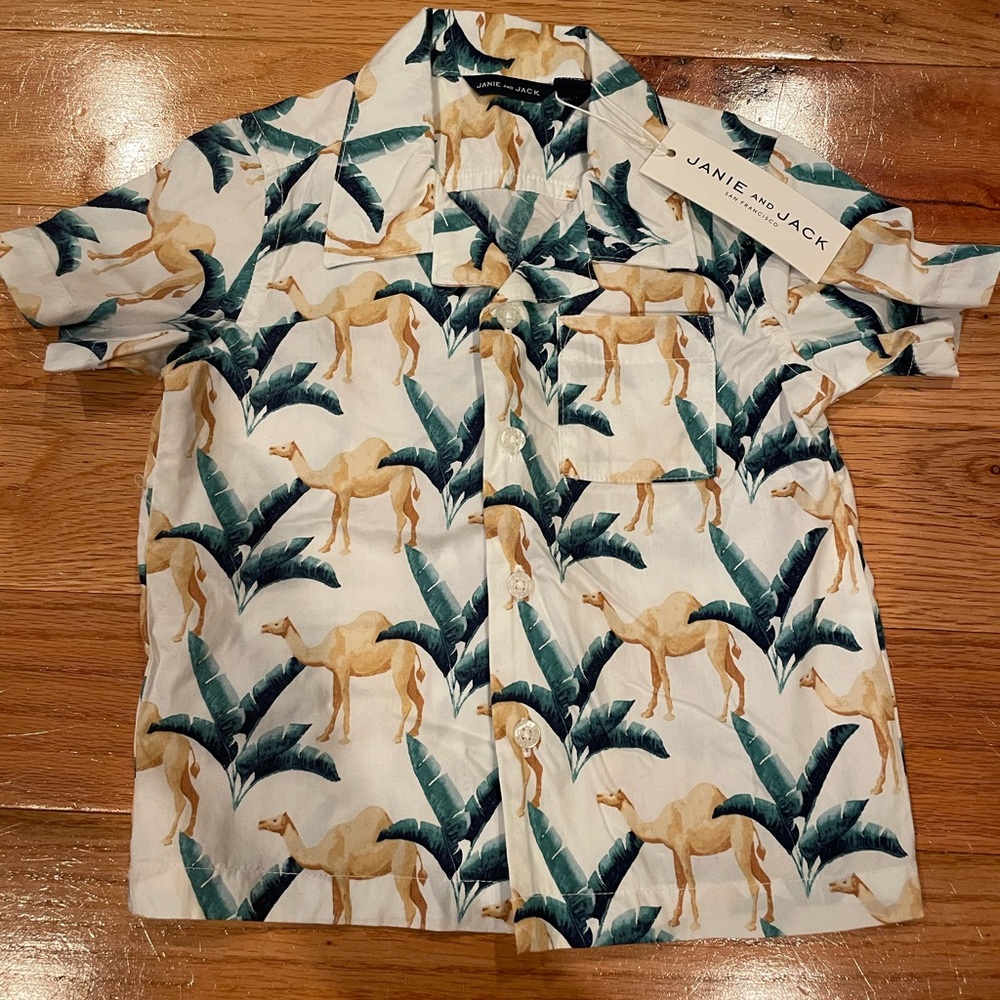Janie and Jack | baby boy button down shirt | size: 12-18 months
